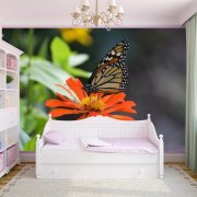 Wall mural with butterflies: choose yourself