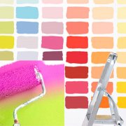 Types of paints for walls and their characteristics