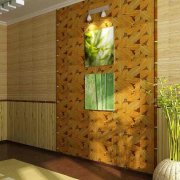 Natural wallpaper: coating features