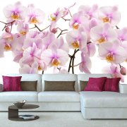 Wall mural with orchids