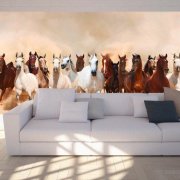 Horses wallpaper: how to use in the interior