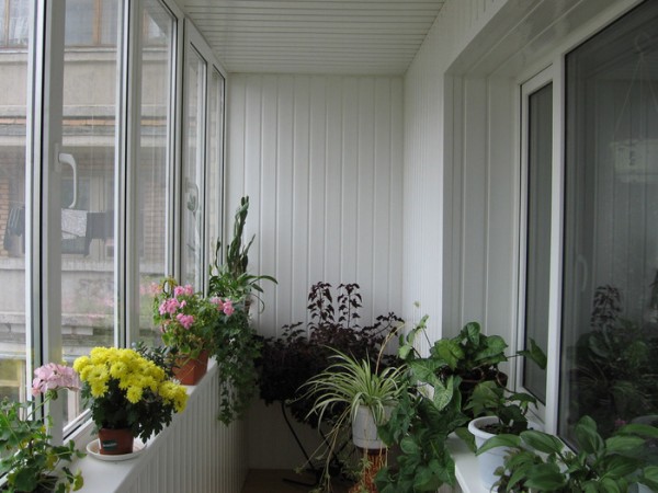 Interior siding of the balcony siding