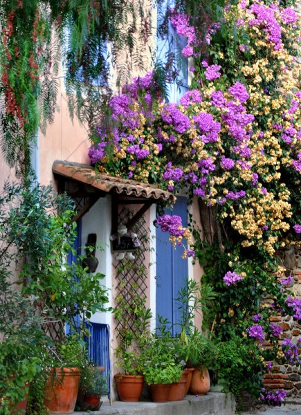 Plants as part of a facade decoration