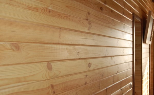 False wall under a log