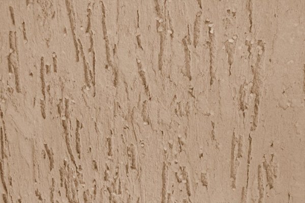 The texture of the bark beetle plaster