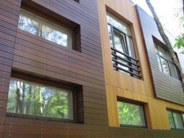 Panels for exterior cladding