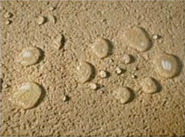 Drops of water on the surface of silicone plaster