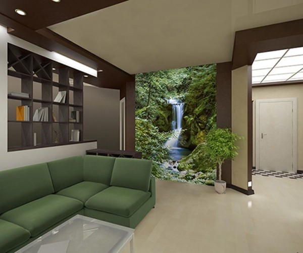 Wall murals that are clearly visible from the sofa