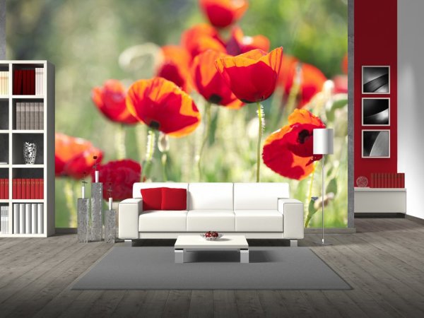 Poppies in the living room interior