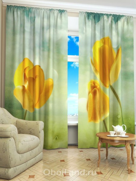 A slight but vibrant emphasis on curtains with tulips