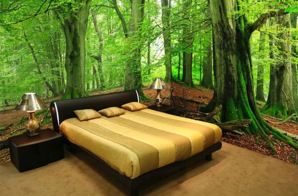 Bedroom in a green forest