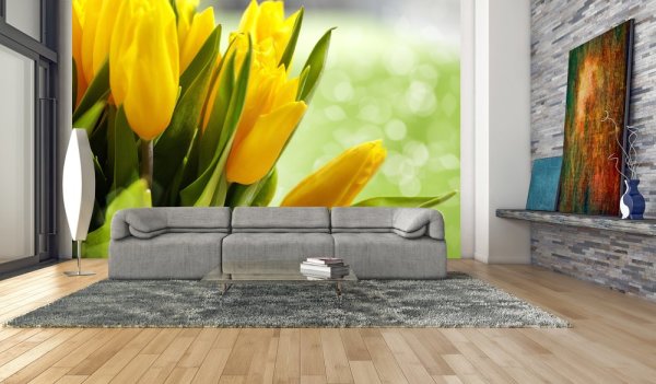 Yellow tulips in the living room