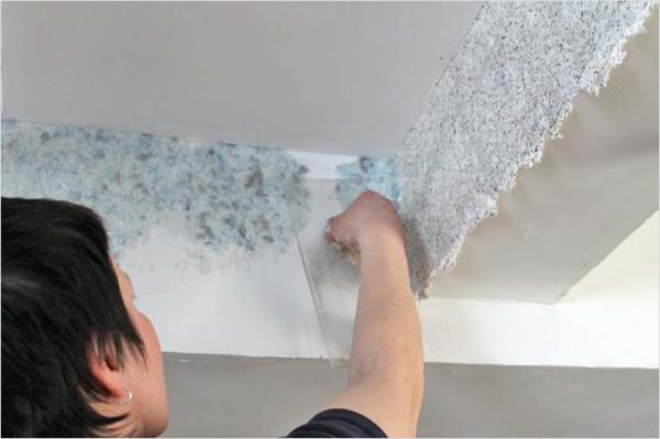 Application of liquid wallpaper