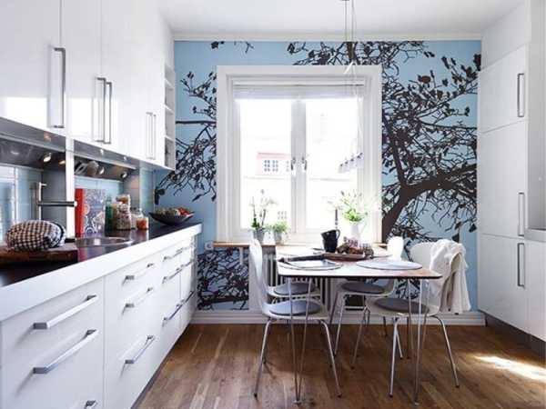 Single tree near the window in the interior of the kitchen