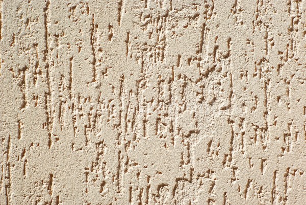 An example of decorative plaster bark beetle