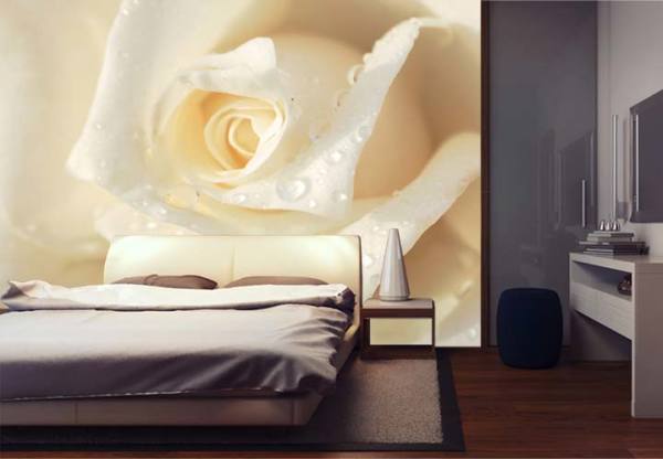 Wall mural rose in the interior of a modern bedroom