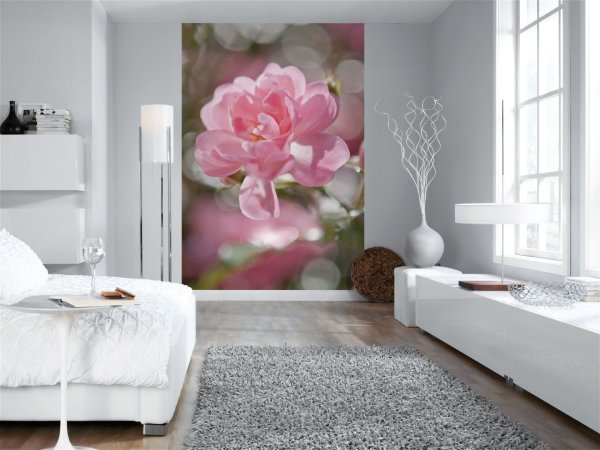 Wall mural with the image of a single flower, in the interior of the living room