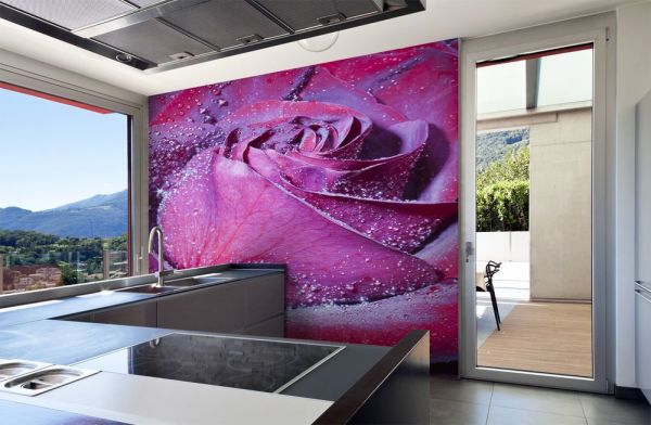 Wall mural with unusual color rose, in the interior of the kitchen