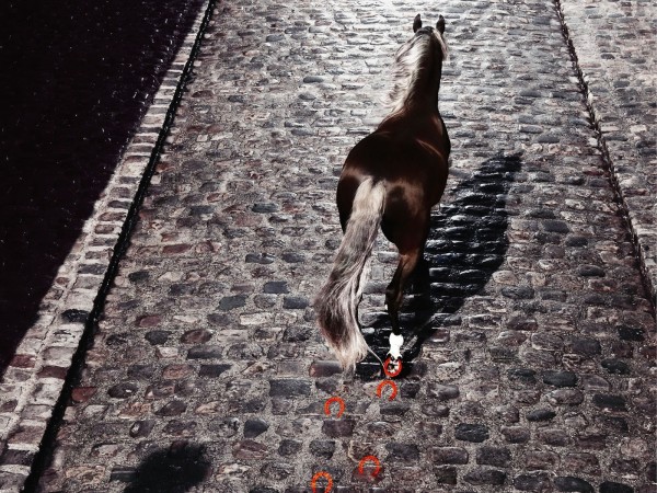 Lonely horse on a cobblestone city bridge