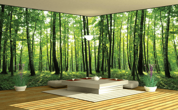 Panoramic murals with three-dimensional image on several walls