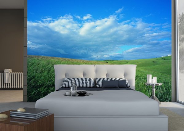 The image of blue sky and green field creates a clear horizontal separation of the interior in the bedroom and visually make the room wider