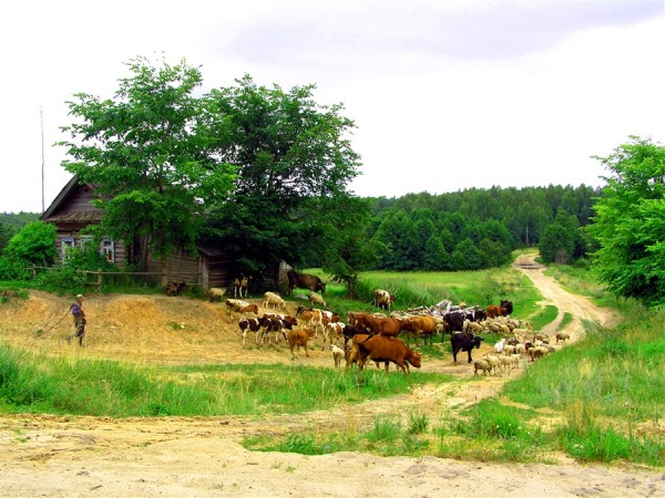 In the photo, wall mural depicting village life