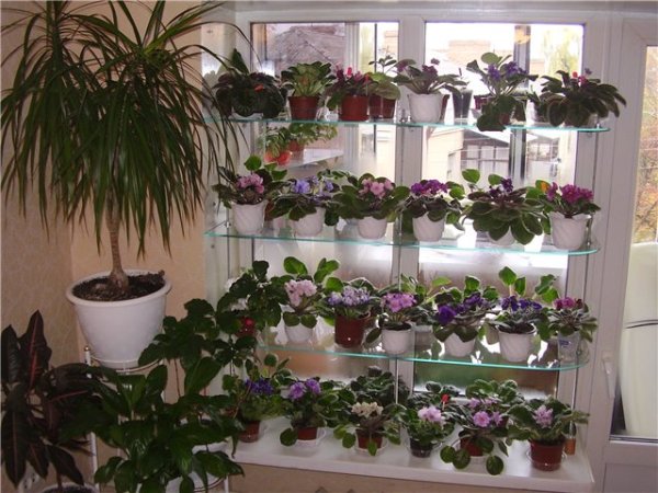 Shelf for flowers on the windows