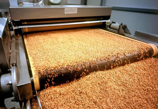 Special machine for processing oak bark, which will later become a cork