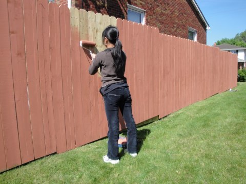 DIY fence painting