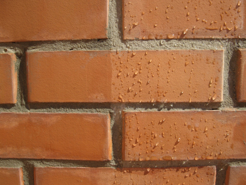 The main criterion for choosing a paint for brick for outdoor work, of course, is the moisture repellency of the paint