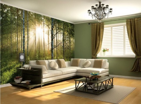 Using photo wallpaper for the living room