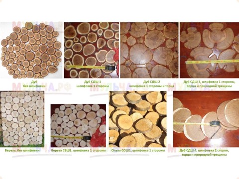 Panel from the sections of branches In the photo we see various elements from sawn branches of different trees