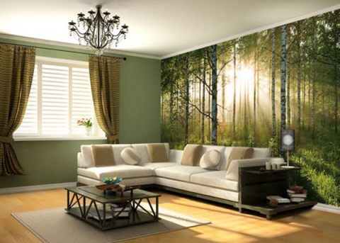 Wall mural with morning forest