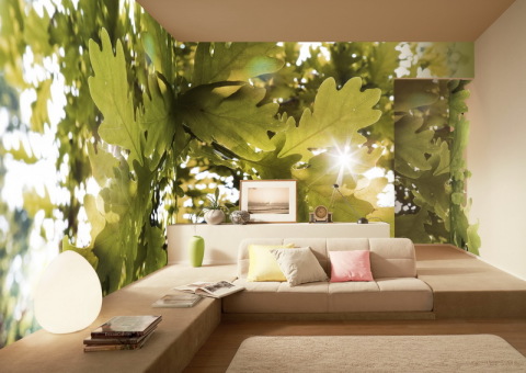 Wallpaper indoors by feng shui