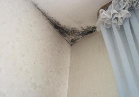 Mold on the ceiling in the bathroom.