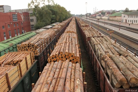 Raw wood is exported.