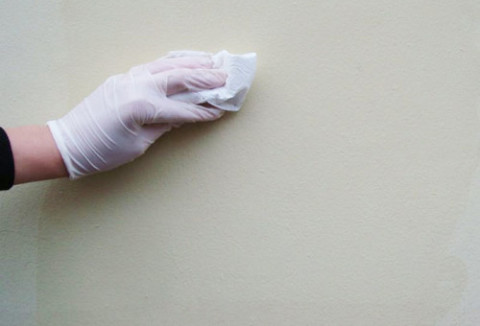 Wipe the walls with a damp cloth to remove dust.