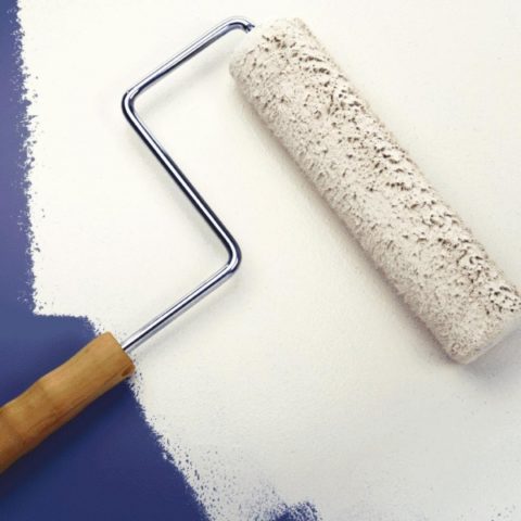 In the photo - the paint roller, correct in all respects, for wall painting